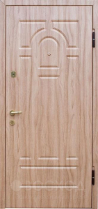 Фото стальная дверь Дверь с зеркалом и шумоизоляцией №30 с отделкой Порошковое напыление